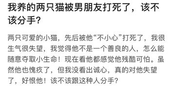 找错了男朋友 嫁错了老公,别说自己了,你连猫都保护不了