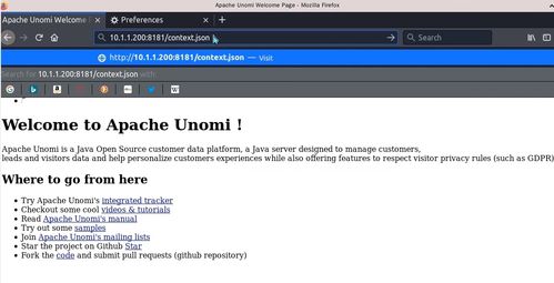 远程代码执行漏洞 CVE 2020 11975 Apache Unomi