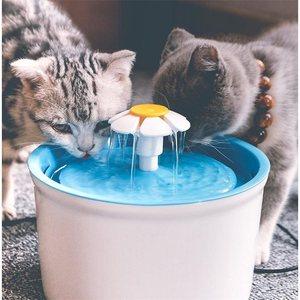 猫咪喝矿泉水容易尿结石 猫应该喝什么水才合适 
