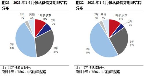 国际债券的发行条件主要有（ ）。