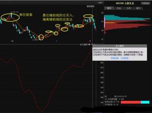 如何掌握正确的补仓技巧