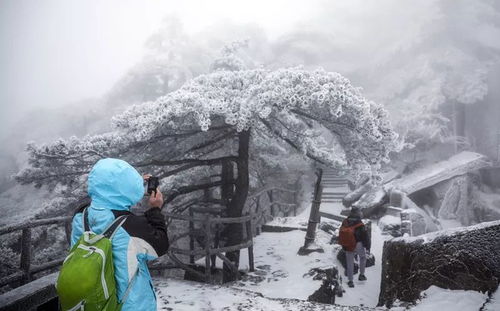 名字里有雪字真的不好吗