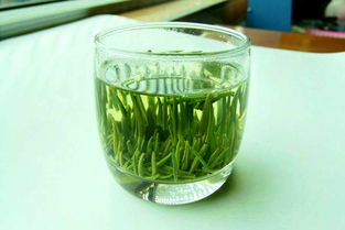 竹叶青属于什么茶,竹叶青属于什么茶