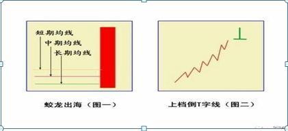 t线是什么意思