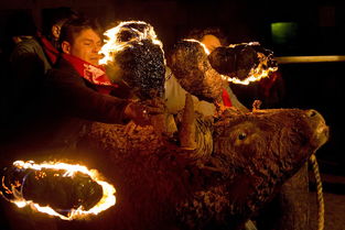 西班牙动保者抵制传统火牛节 与支持者冲突 