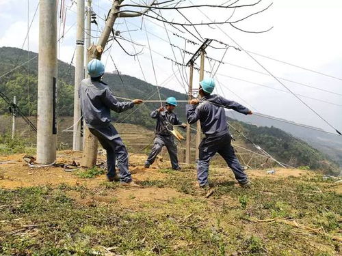 横跨高速浑不怕,电力小哥有奇招 