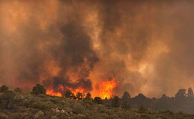 美国高温致山火爆发 造成19名消防人员死亡 