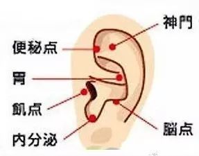 耳朵揉到痛点可能是疾病征兆 附耳朵按摩方法 