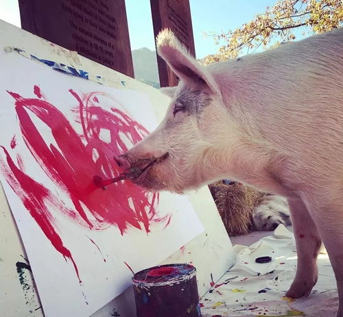 古瓷雅趣丨一头猪画画卖十万元,毕加索画不可怕,就怕猪也这样画 