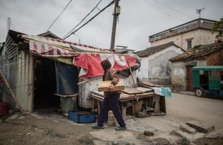 9岁女孩卖菜寻亲 父母于汶川地震失联 