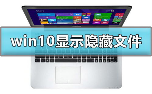 win10如何查看c盘隐藏文件夹