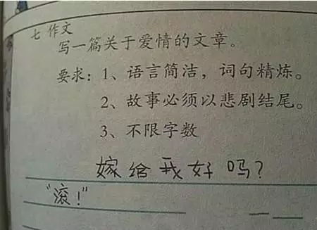 我的大姨妈作文500字