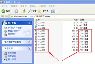 怎么把word文档里的照片弄成jpg格式 