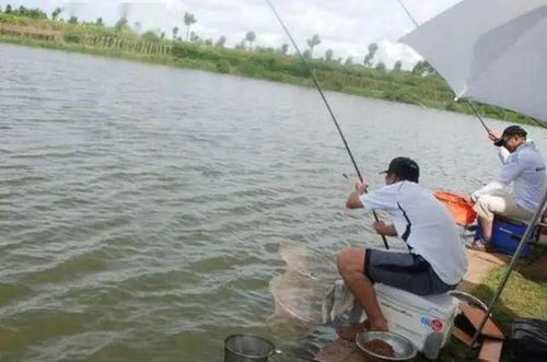 钓鱼时为何鱼竿不能浸入水中