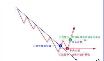 时间法则线上全阶