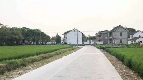 聚焦两会丨40处社区微菜场 40万平方米老旧小区综合改造......青浦2019的成绩单来咯