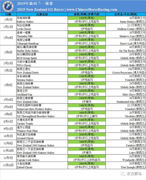 晚上你懂网址2019(年秒懂网址推荐)