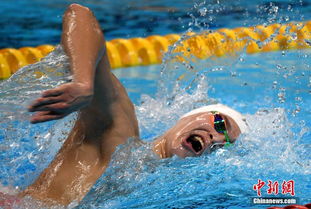 孙杨获亚运会男子1500米自由泳三连冠 