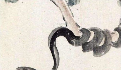十蛇九不全 揭秘89年生肖蛇的终生寿命,过了30岁后什么命
