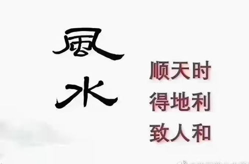 2021年9月4日,星期六,农历七月廿八 辛丑年丙申月乙卯日