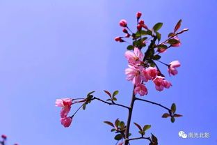 春分时节哪种颜色最能代表您对白河的热爱 