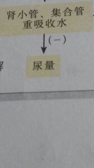 这个负号是什么意思