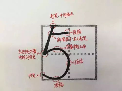 位数格的意思解释词语;数字占田字格哪边？