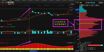 投资股票几年了？获利百分比是多少？