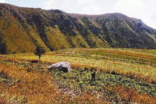 藏在太行山深处的10个隐秘山村,去过1个便是大牛