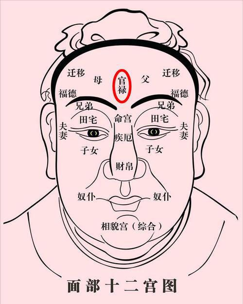 身体好不好,看脸就知道 通过五官看看身体哪里出了问题