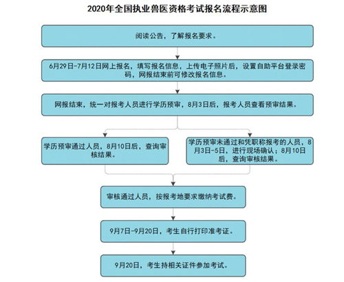 2020年执业兽医考试报名流程示意图 