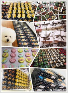 1400多盒 一个宠物烘焙工作室的中秋宠物月饼销量 下一款可以主推什么 搜狐宠物 搜狐网 