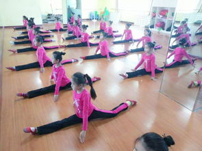 四岁女孩学跳舞会对身体有什么不好的影响吗(4岁女孩学跳舞好吗)