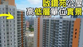 小白鹭 红树林 人类民俗馆 白鹭林 涤涛山 大埔公路大埔滘段 科学园 白石角 鹿茵山庄 Tai Po Kau Lake Egret Nature