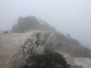 黄山自驾游车停哪里(黄山市风景区停车场收费标准)