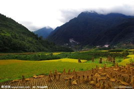 去12星座的专属目的地 最贴心的旅行享受 三 