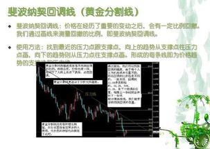 外汇新手应了解的知识点?