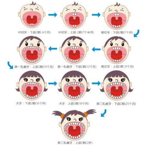 孩子长牙的那些事 时间 表现以及如何满足需求,爸妈们看过来