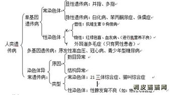 遗传缺陷的相关资讯 