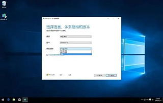 笔记本如何装win10和linux系统