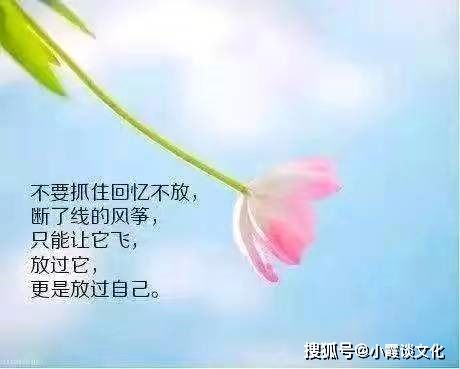 成长与亲情句子励志—二胎兄妹之间暖心的句子？