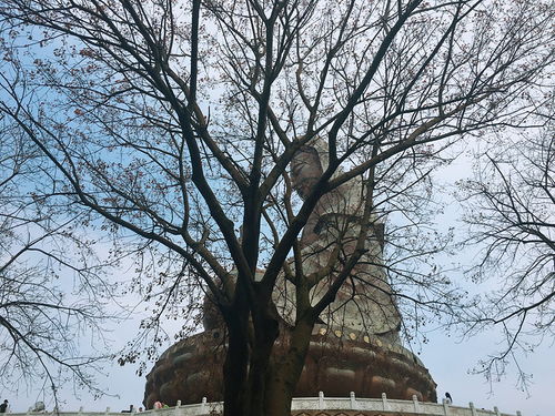 资阳大厦停车场系统,西樵山旅游攻略自助游西樵山旅游攻略自助游线路