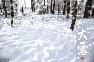 申晨间 今年 大雪 期间中东部偏暖,上海下周初迎升温 今起十天持续 冬燥