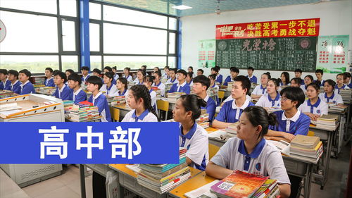 河南省郑州市绿业信息中等专业学校属于哪个区