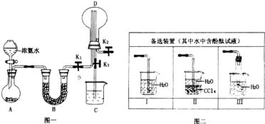 某化学兴趣小组利用图一装置制取氨气并探究氨气的有关性质. 1 装置A中烧瓶内试剂可选用 填序号 