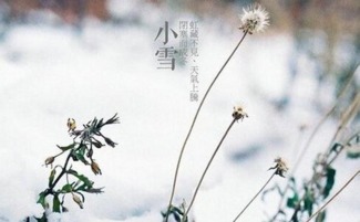 小雪节气是农历什么时候2016 今年小雪是几月几日哪一天