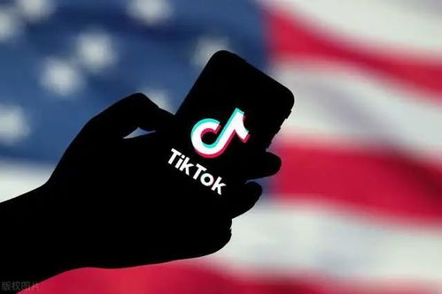tiktok ios国际版下载_tiktok代运营公司可靠吗