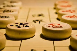 在永春,想学中国象棋的孩子看过来,仅仅1元