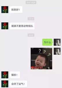 哄你妈开心最全指南