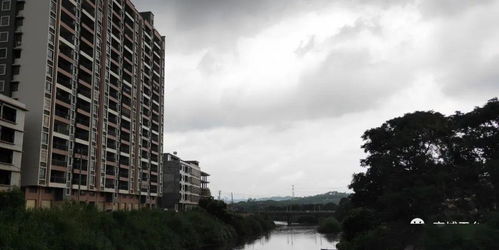 广东揭阳普宁马鞍山农场天气预报